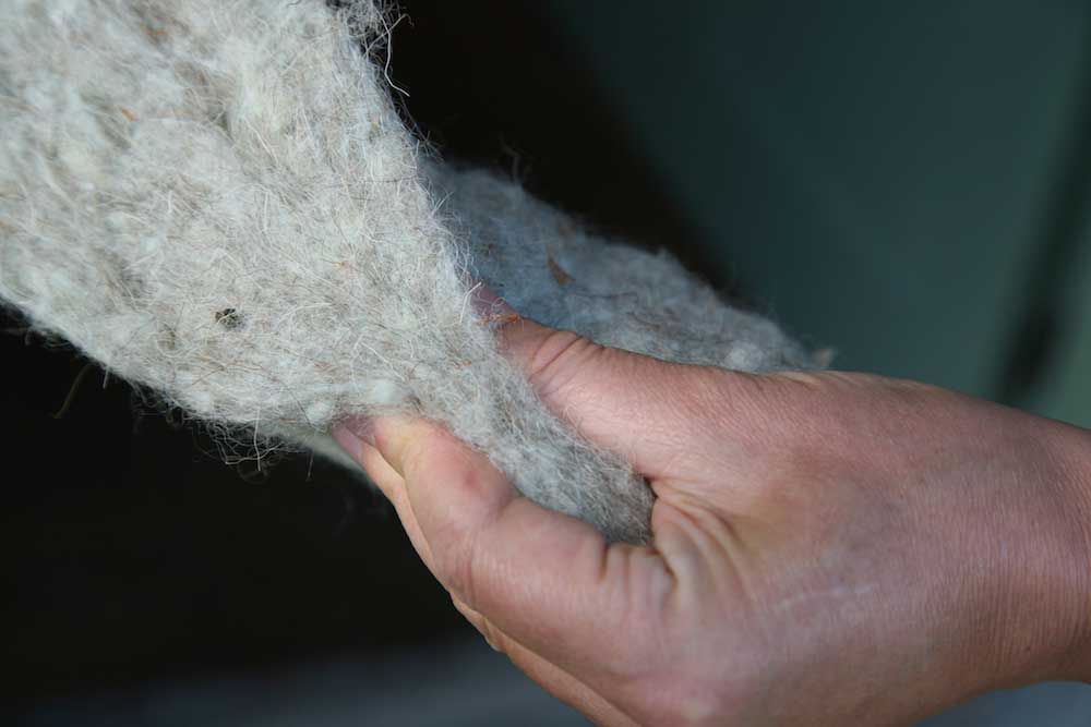 Sheep’s wool insulation